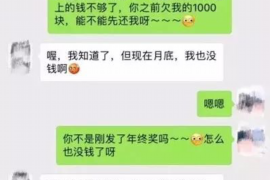 卫东专业讨债公司有哪些核心服务？